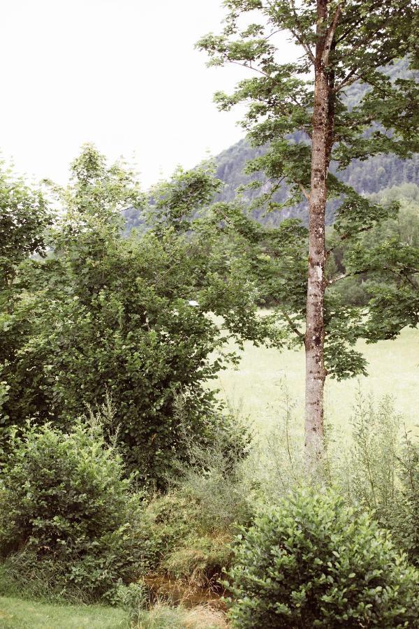Bachbett - Modernes Gaestehaus Im Salzkammergut Bad Ischl Kültér fotó